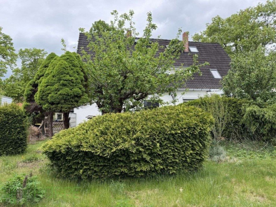 Garten Bild 3 Doppelhaush�lfte Berlin