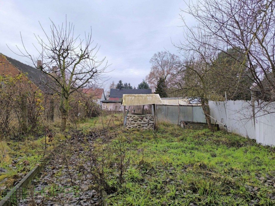 Garten Bild 2 Bungalow Niederer Fl�ming