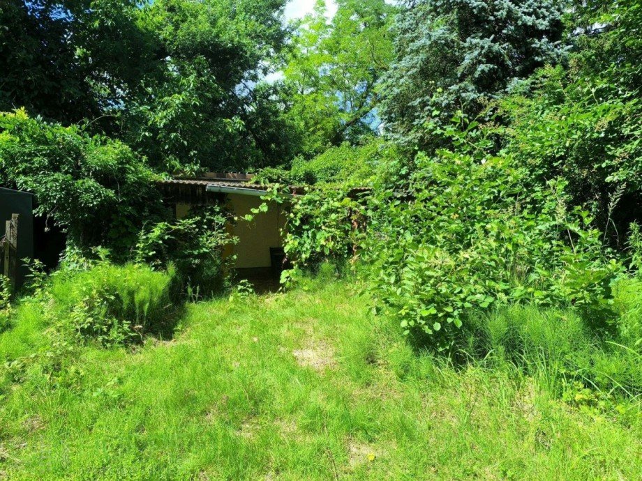 Garten Bild 1 Einfamilienhaus Bad Freienwalde (Oder)