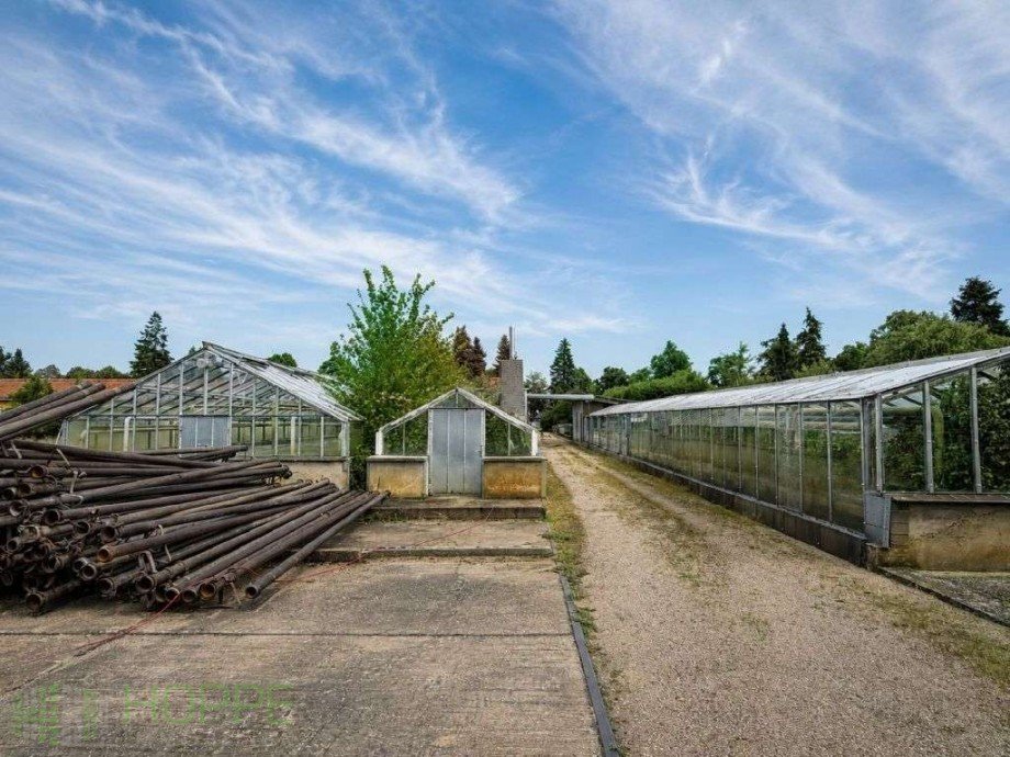 G�rtnereibereich Bild 2 (KI-generiert) Einfamilienhaus Dahme/Mark