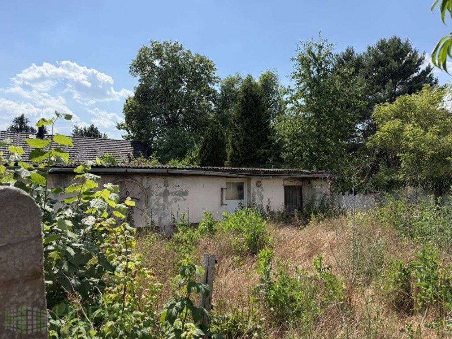 Schuppen 1 R�ckansicht Bungalow Niederer Fl�ming