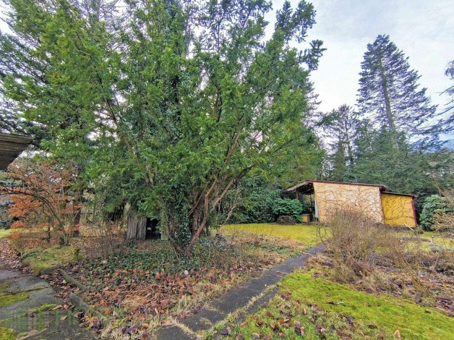 Bild 3 Wohngrundst�ck K�nigs Wusterhausen