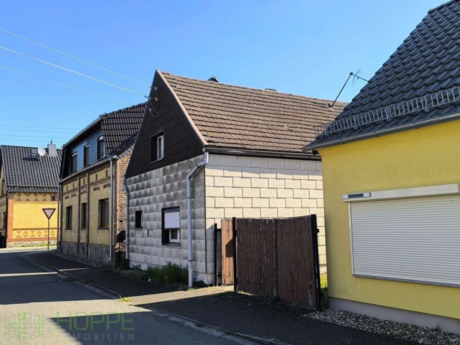 Ansicht 1 Einfamilienhaus Jessen (Elster)