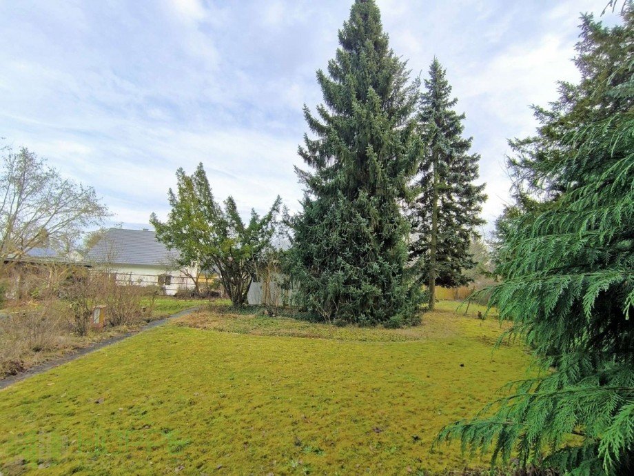 Bild 1 Wohngrundst�ck K�nigs Wusterhausen