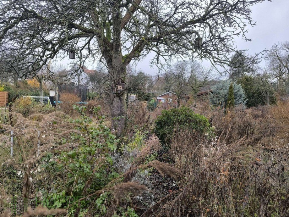 Garten Ansicht 2 Freizeitgrundst�ck Berlin