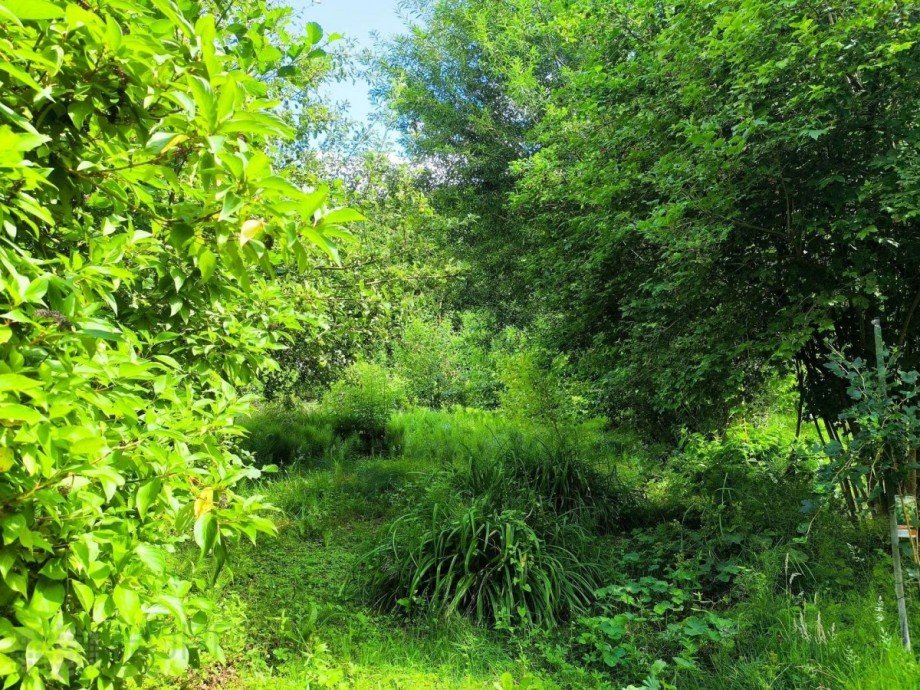 Garten Bild 2 Einfamilienhaus Bad Freienwalde (Oder)