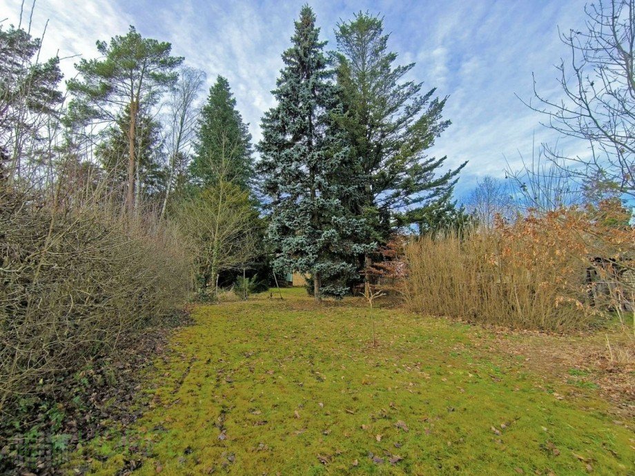 Bild 2 Wohngrundst�ck K�nigs Wusterhausen