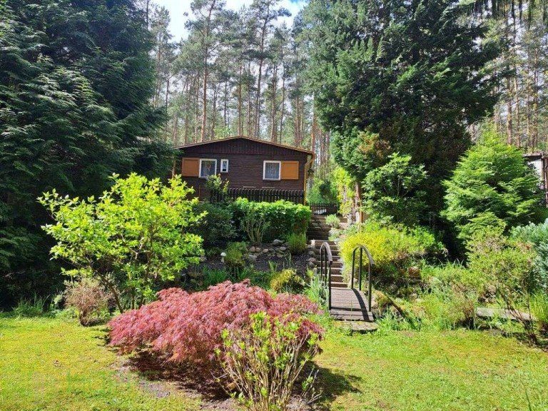 Au�enansicht Coswig (Anhalt) Ferienhaus Sommer 2026 im eigenen Freizeitbungalow in ruhiger, idyllischer Waldlage von Coswig M�llensdorf