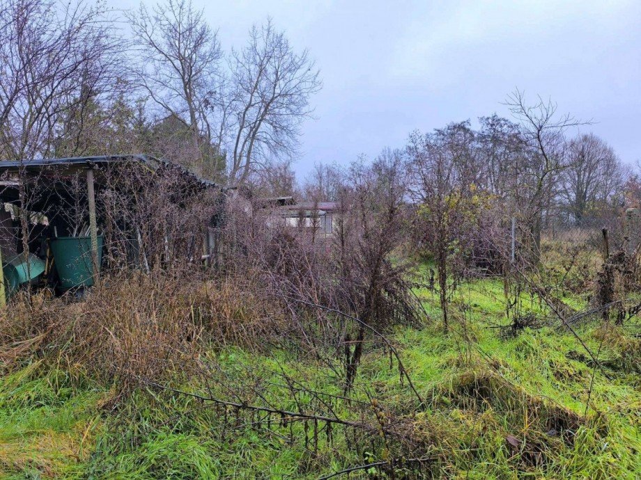 Garten Bild 1 Bungalow Niederer Fl�ming